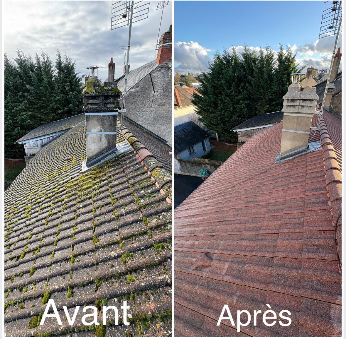 Traitement et nettoyage de la toiture complète
